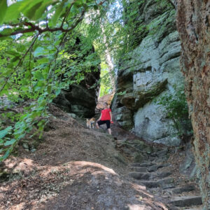 Avontuurlijke wandeling