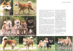 Page_5kl